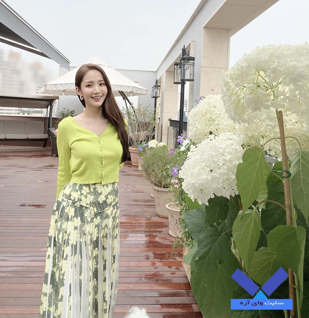 بیوگرافی و عکس های جذاب پارک مین یانگ Park Min Young روابط خصوصی